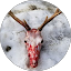 dasgewehr66 Avatar