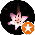 Kathleen Rodgers Avatar